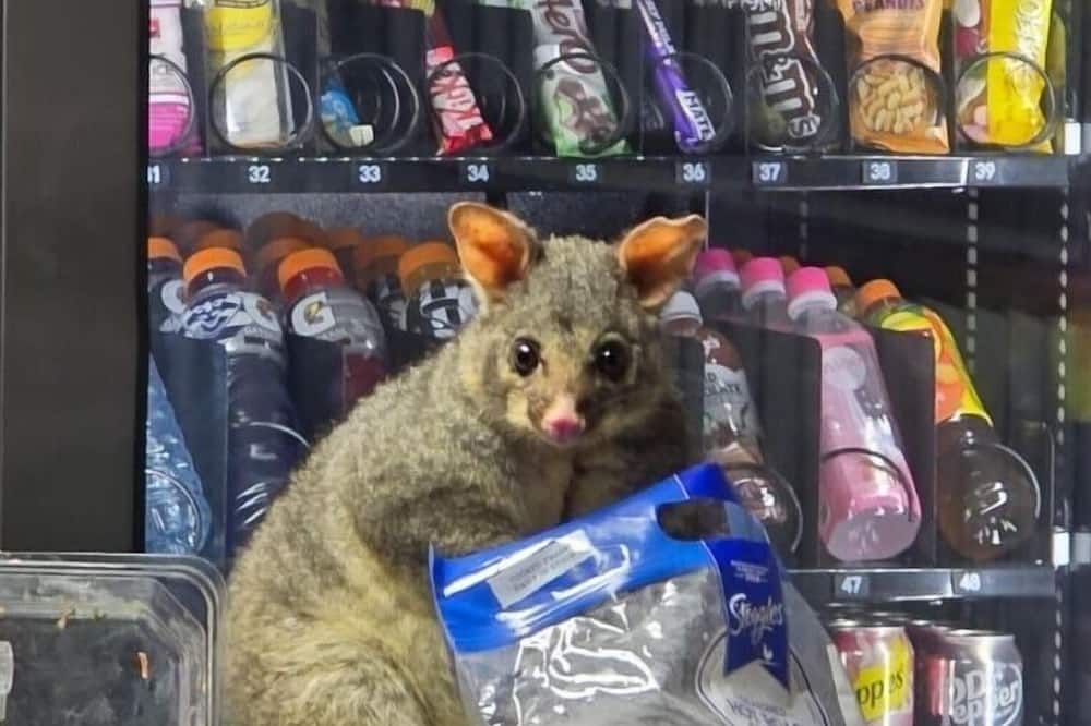 אחר
