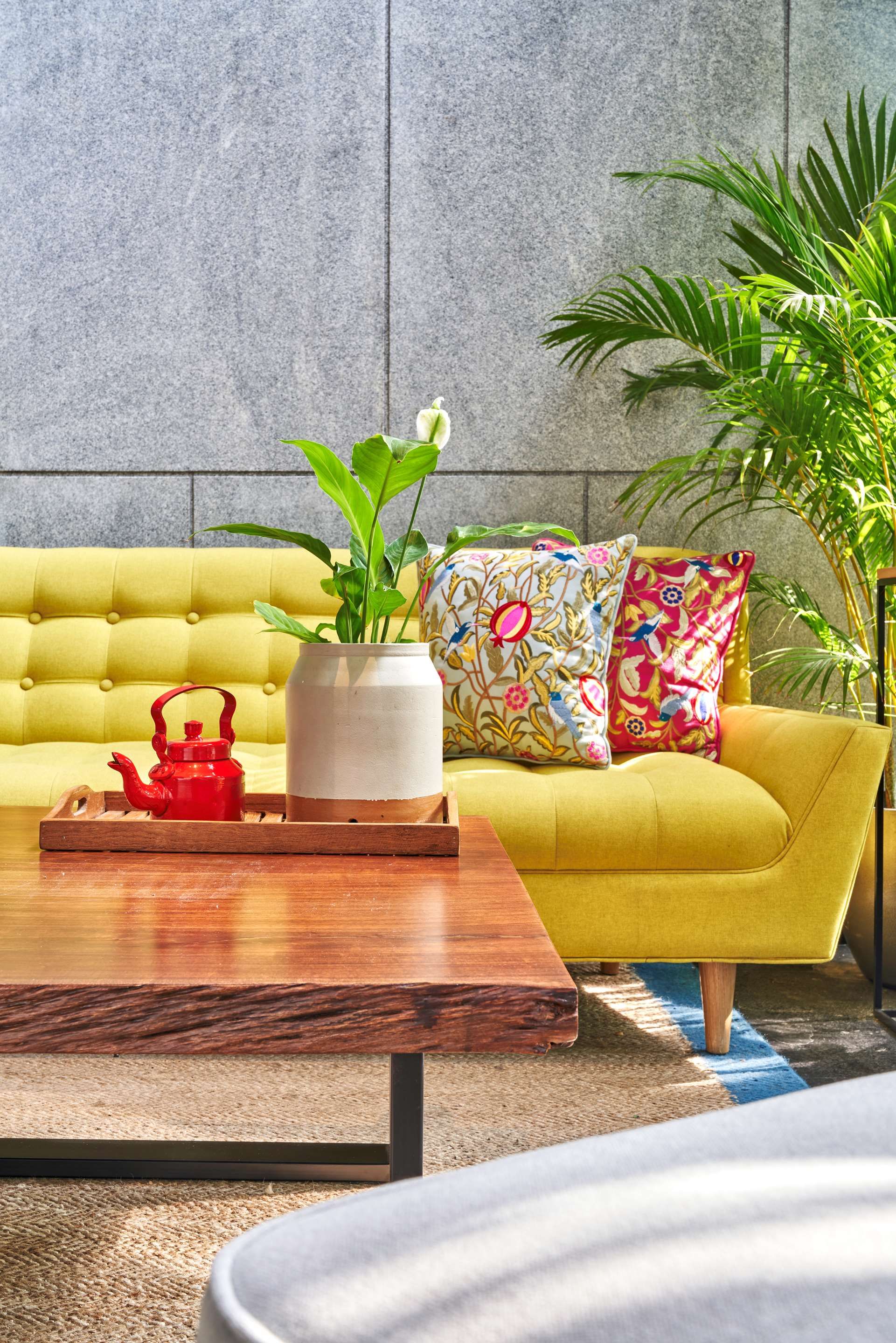 טרקלין תמונה