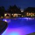 בריכה