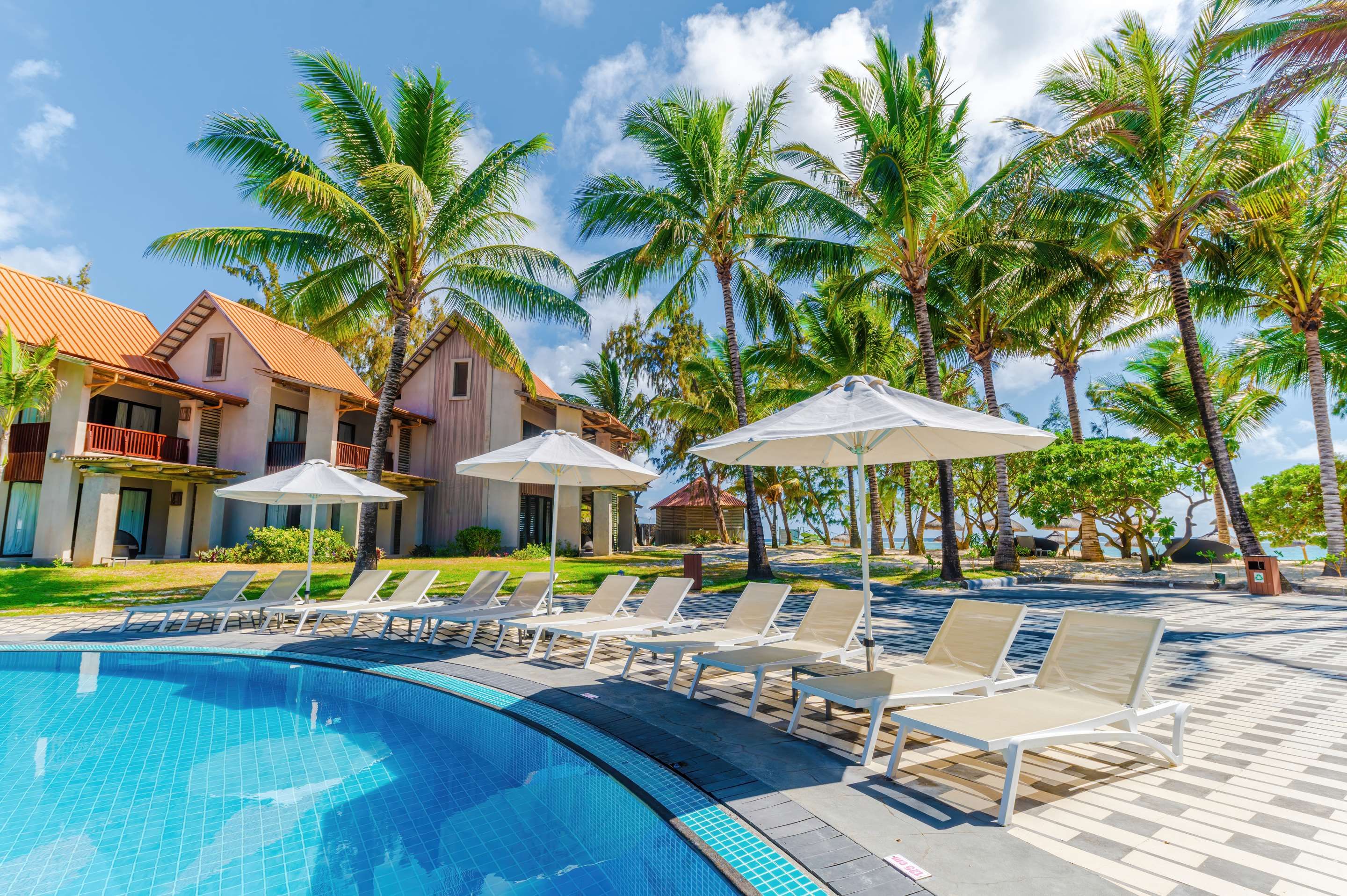 בריכה תמונה