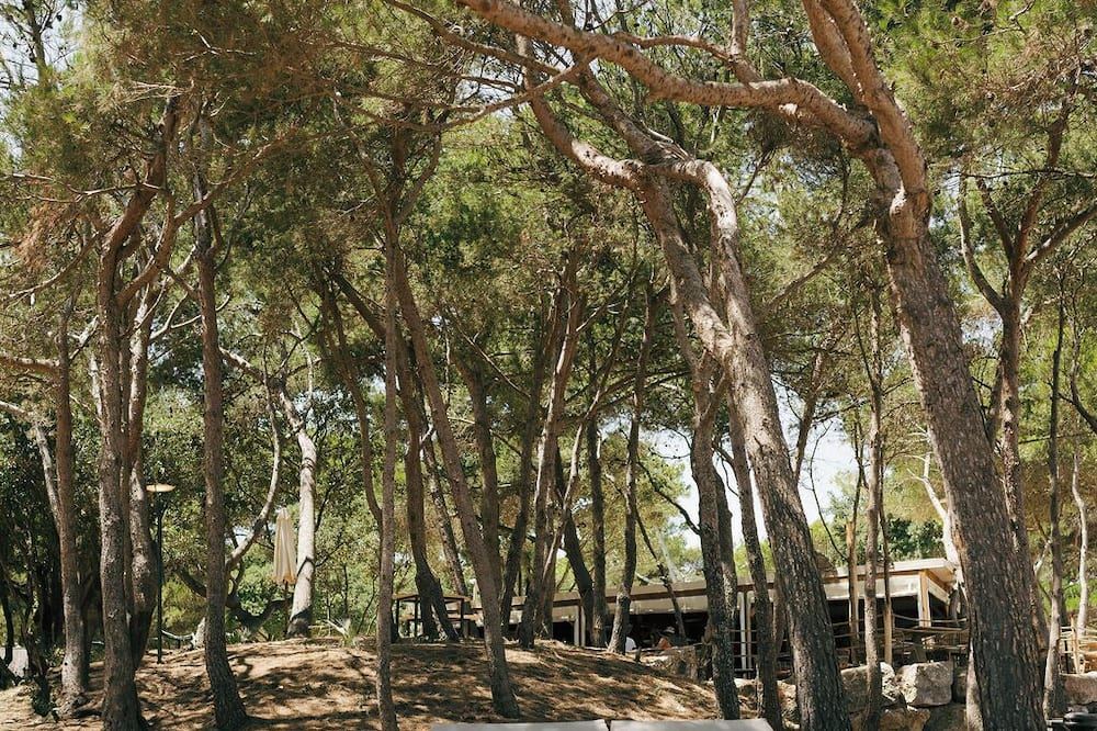 נוף חיצוני
