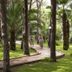 נוף חיצוני