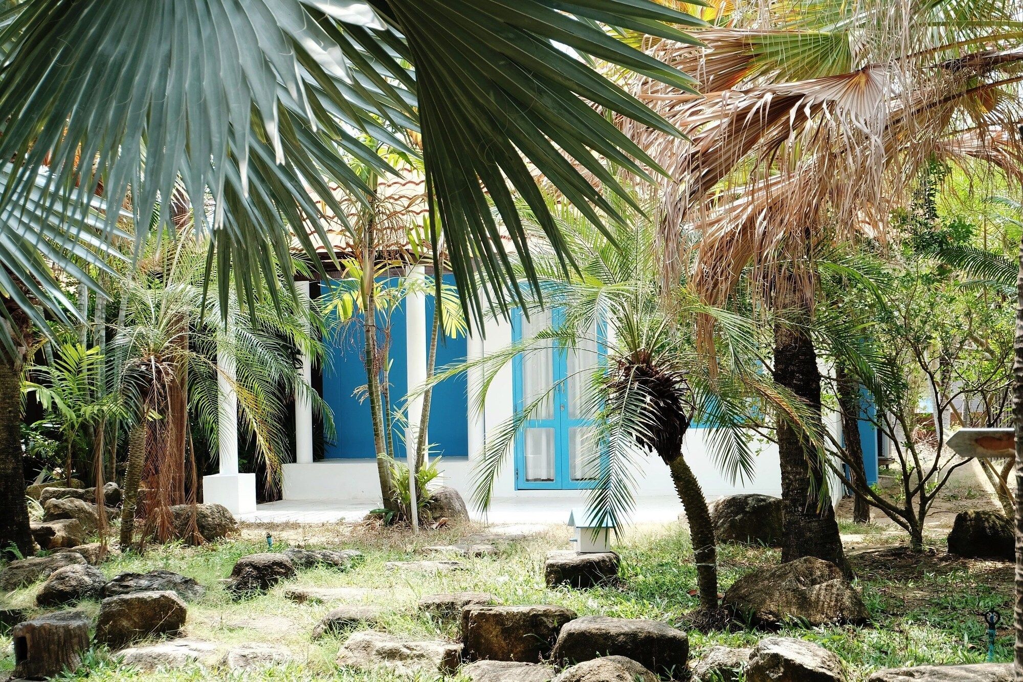נוף חיצוני