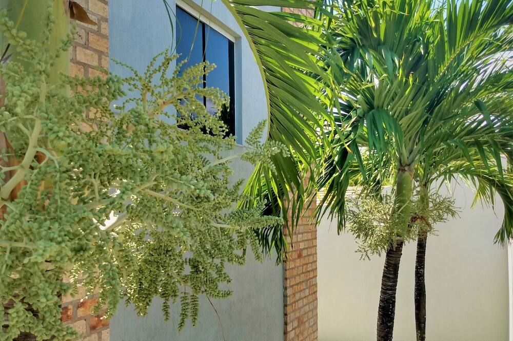 נוף חיצוני
