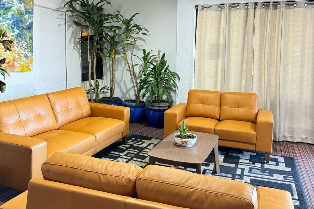 טרקלין תמונה