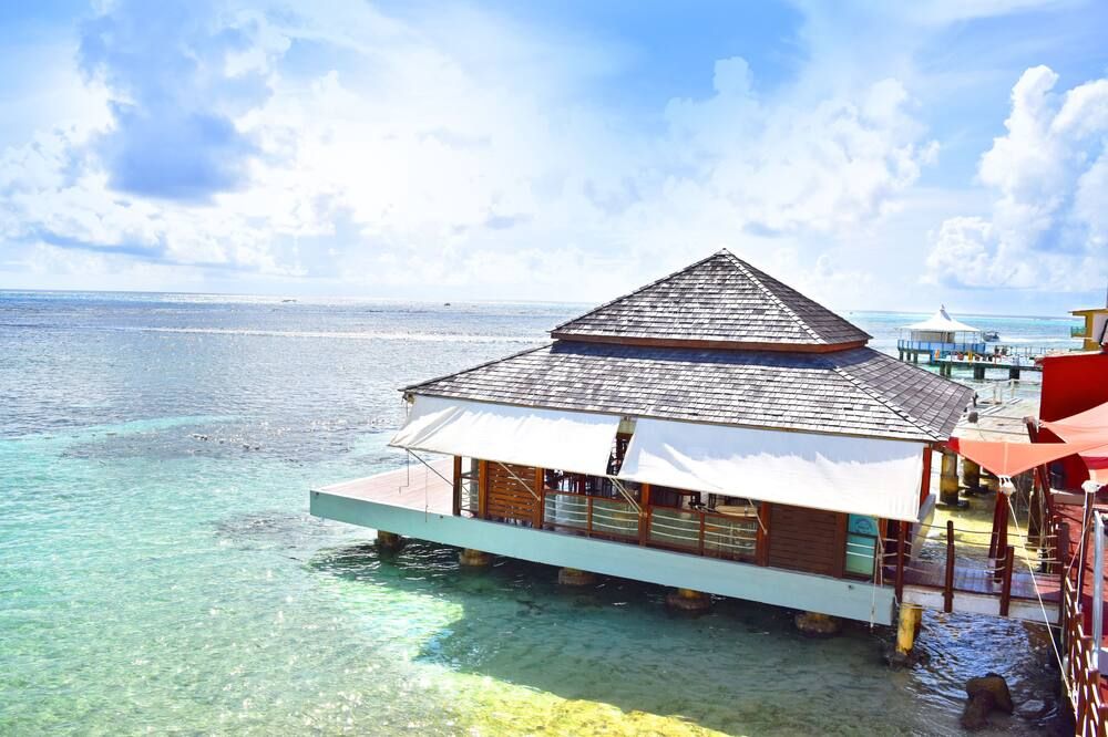 מסעדה תמונה