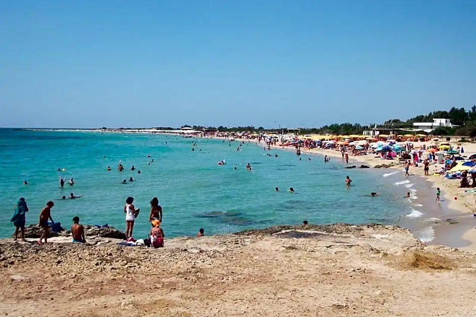 חוף תמונה