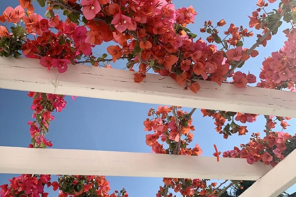 נוף חיצוני