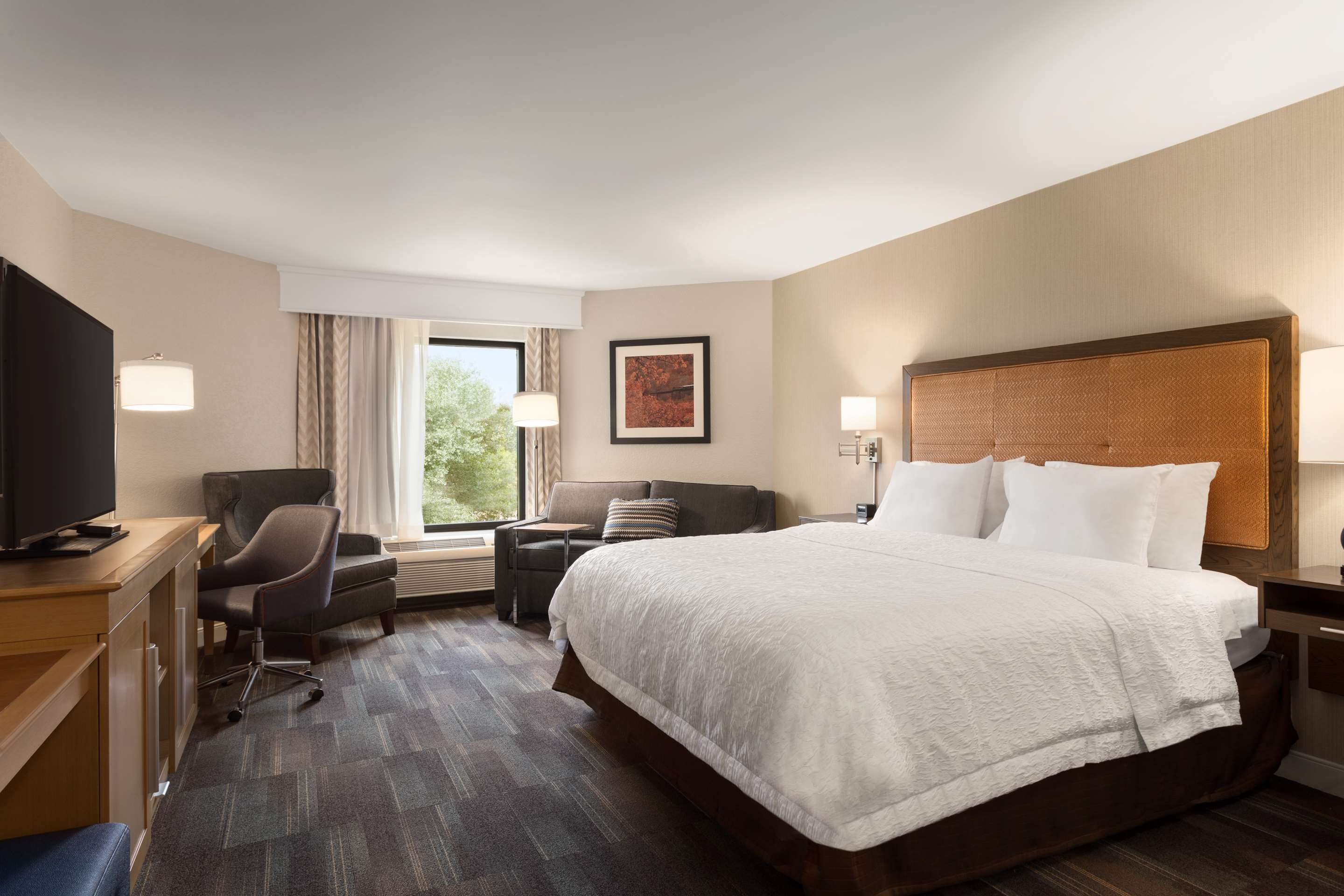 חדר שינה תמונה