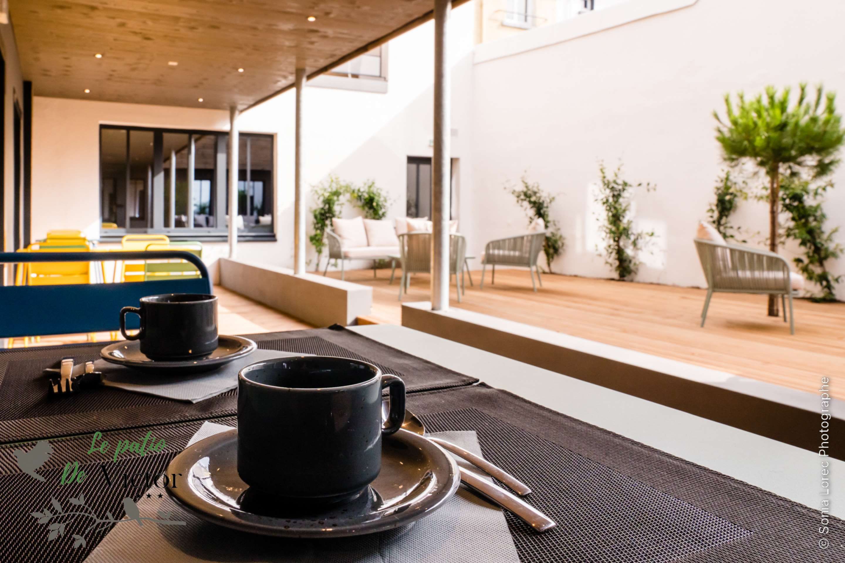 נוחות המלון