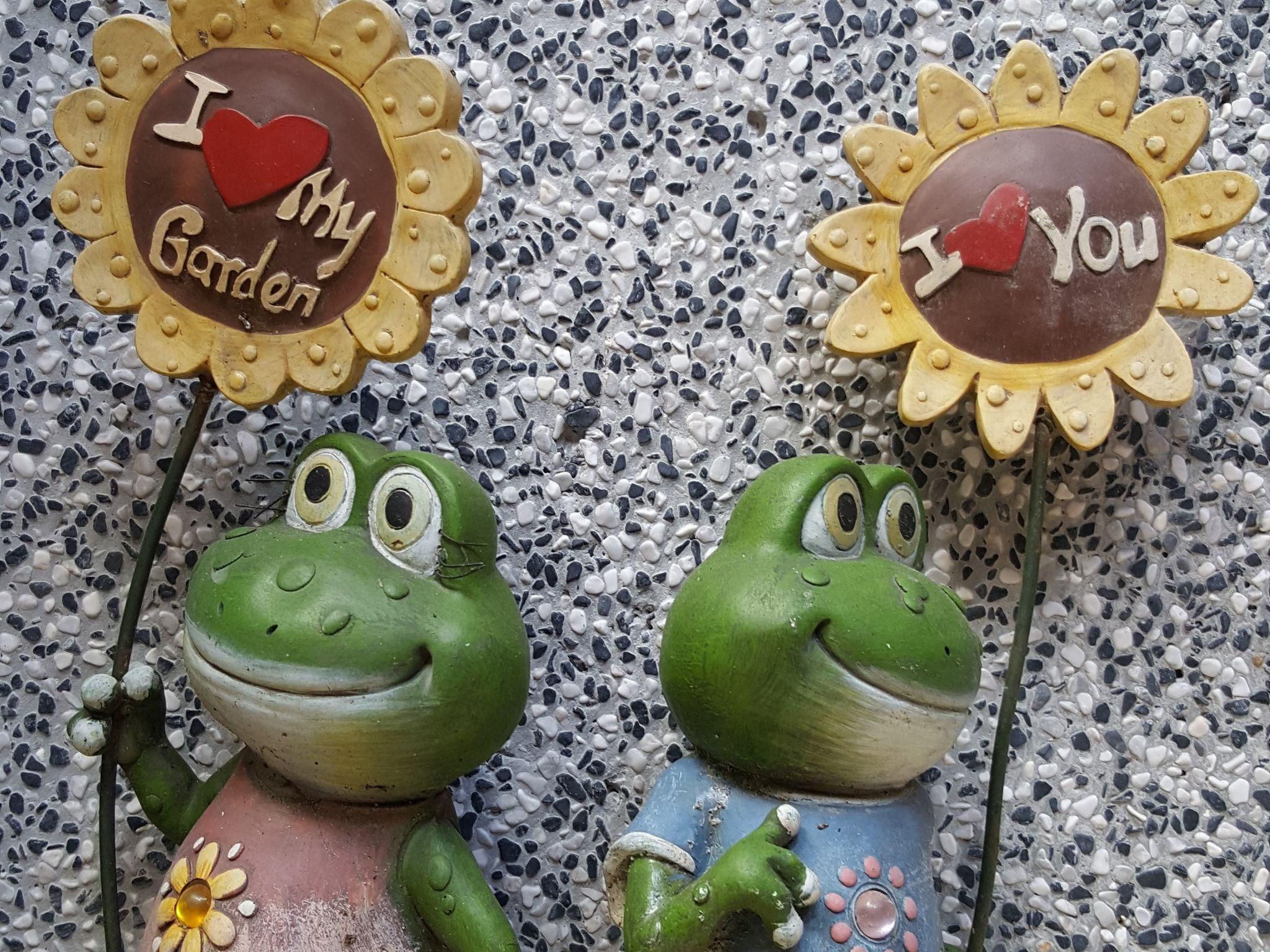 בניין תמונה