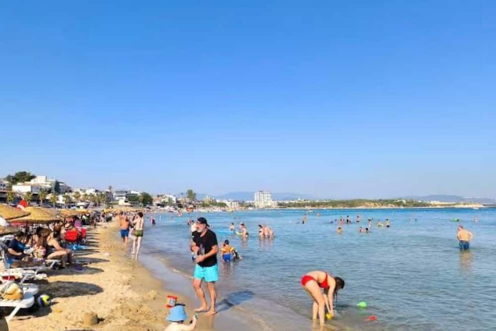 חוף תמונה