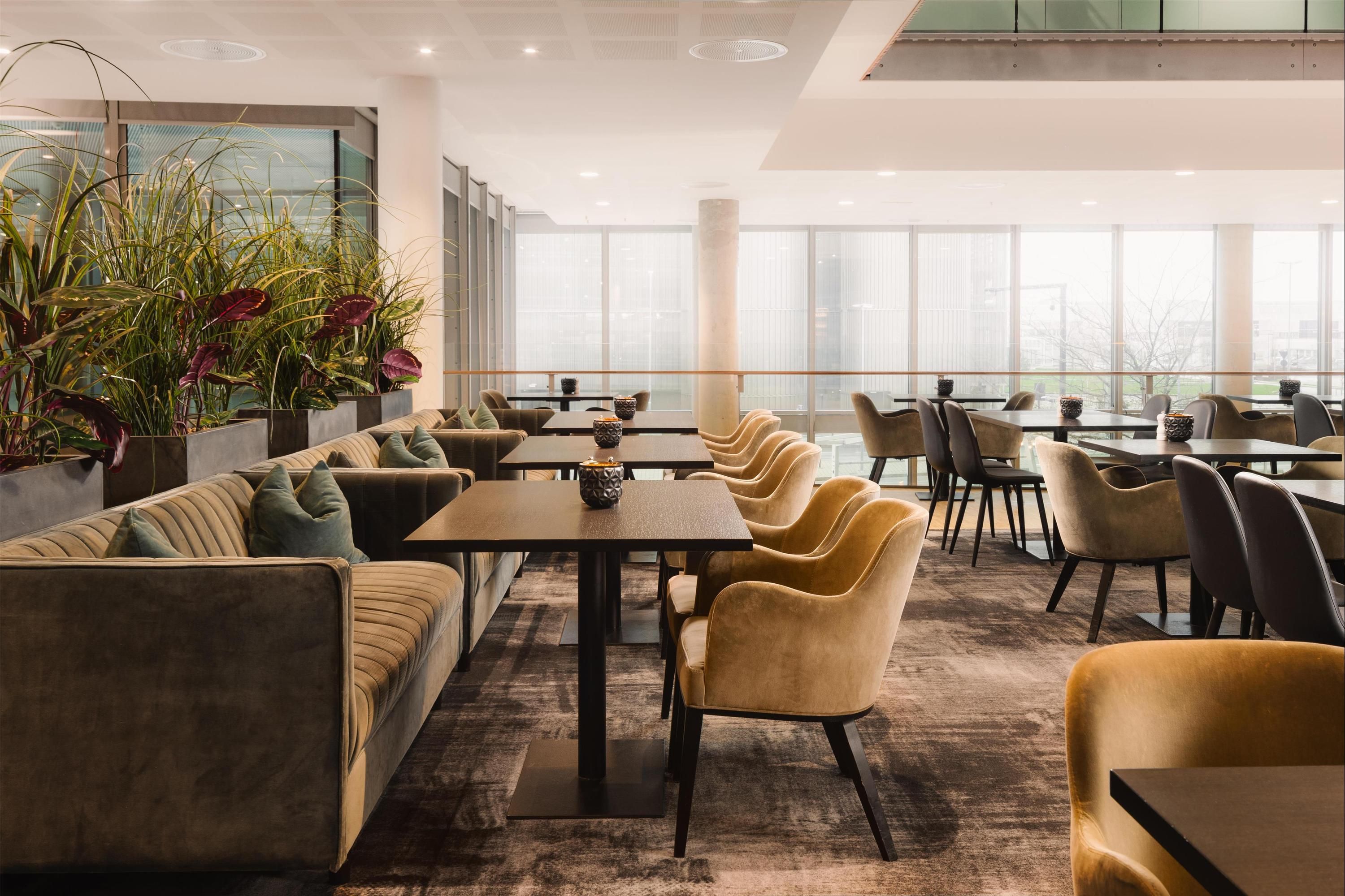 מסעדה תמונה