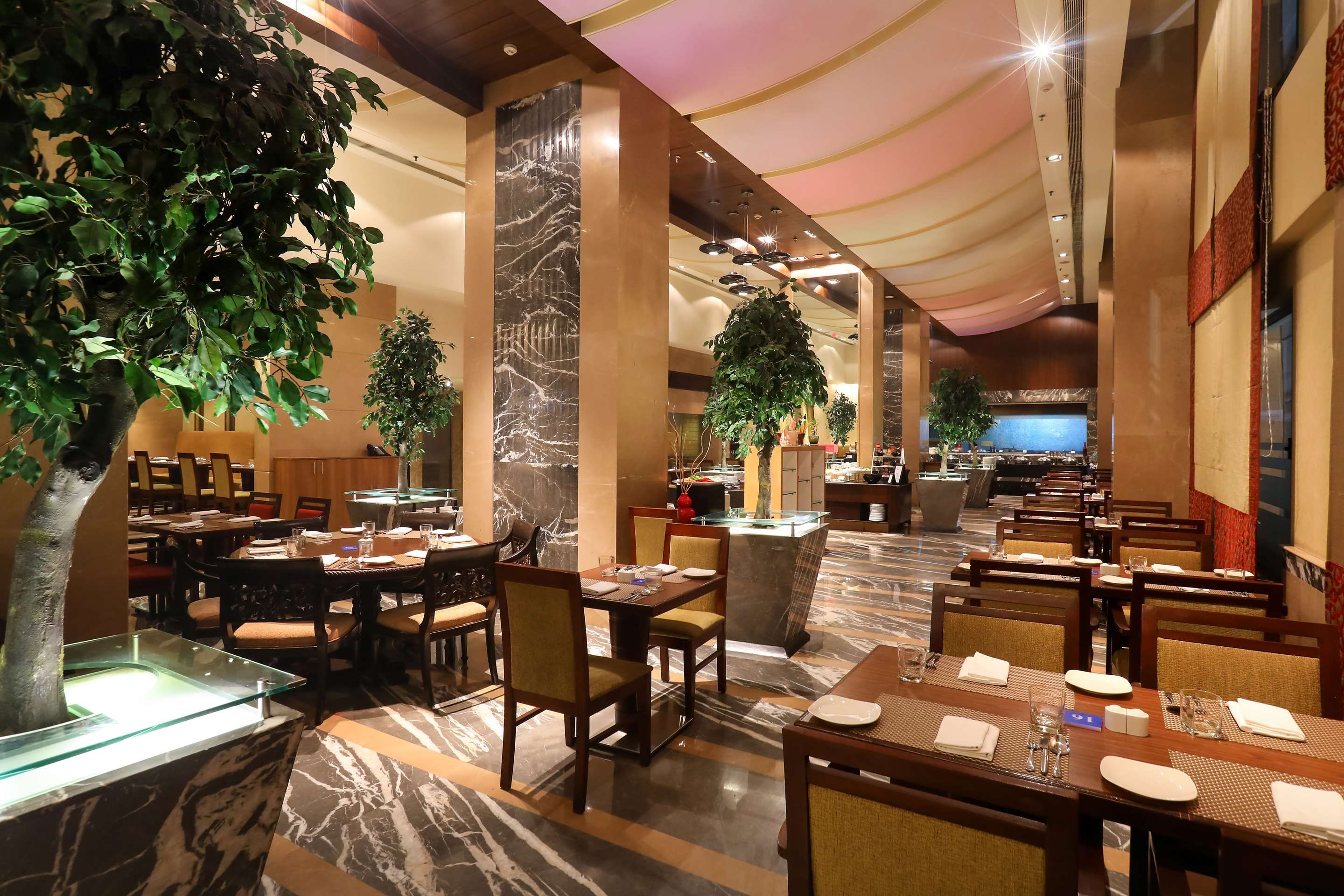 מסעדה תמונה