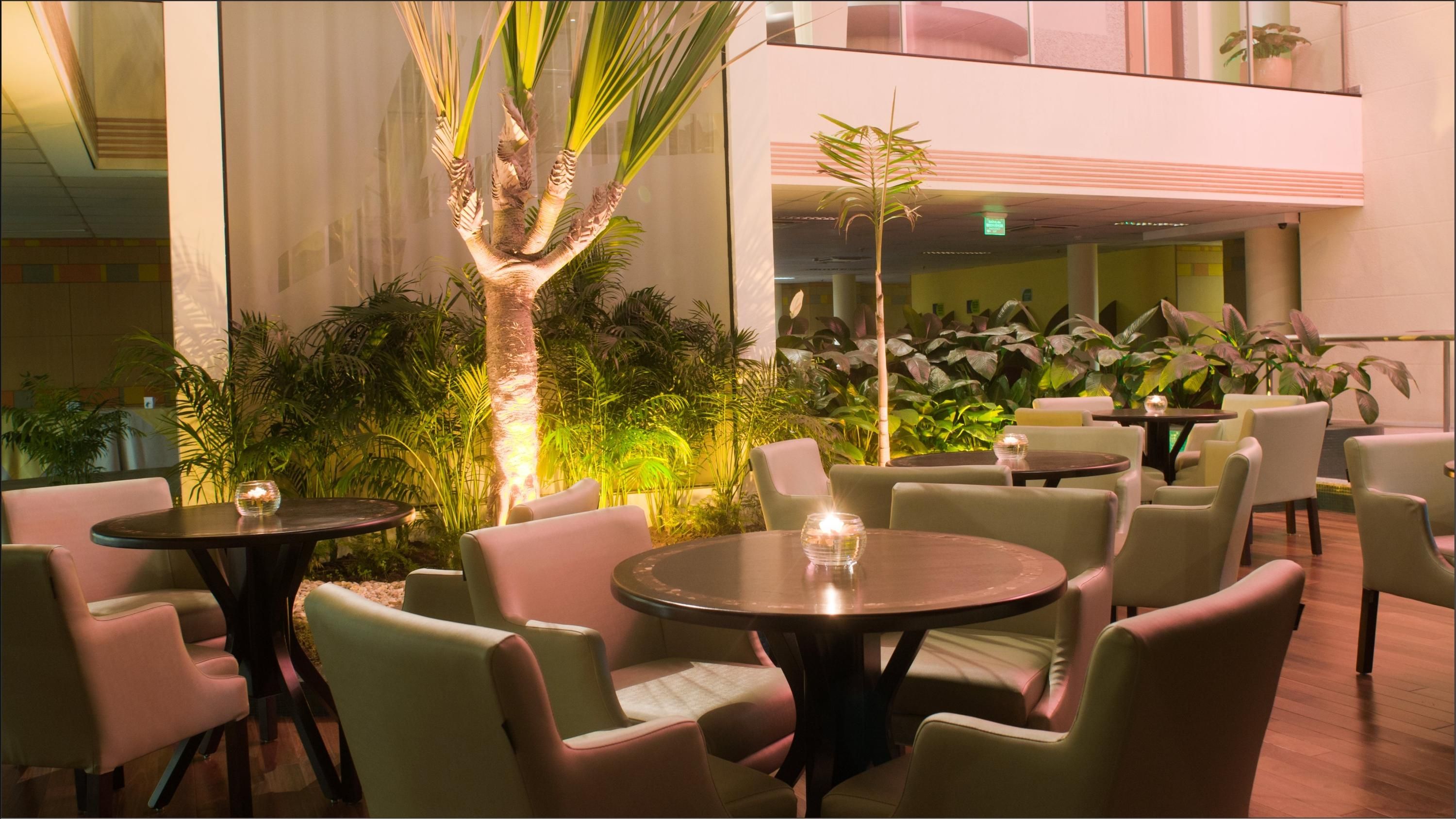 מסעדה תמונה