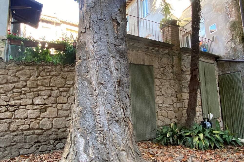 נוף חיצוני