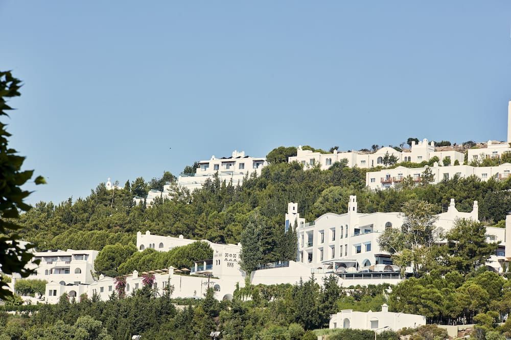 נוף חיצוני
