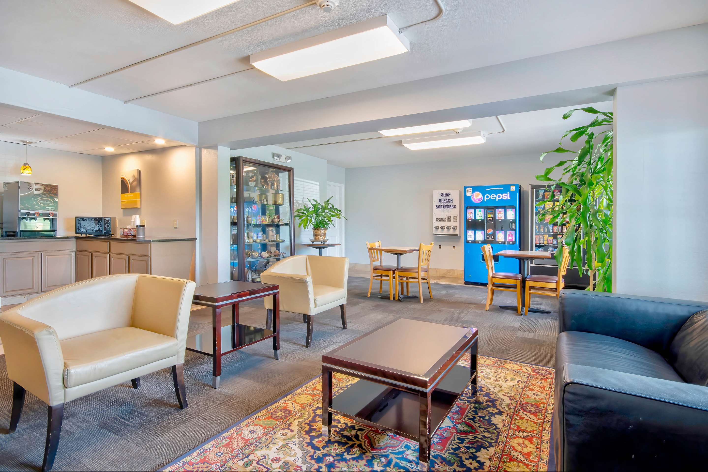 טרקלין תמונה