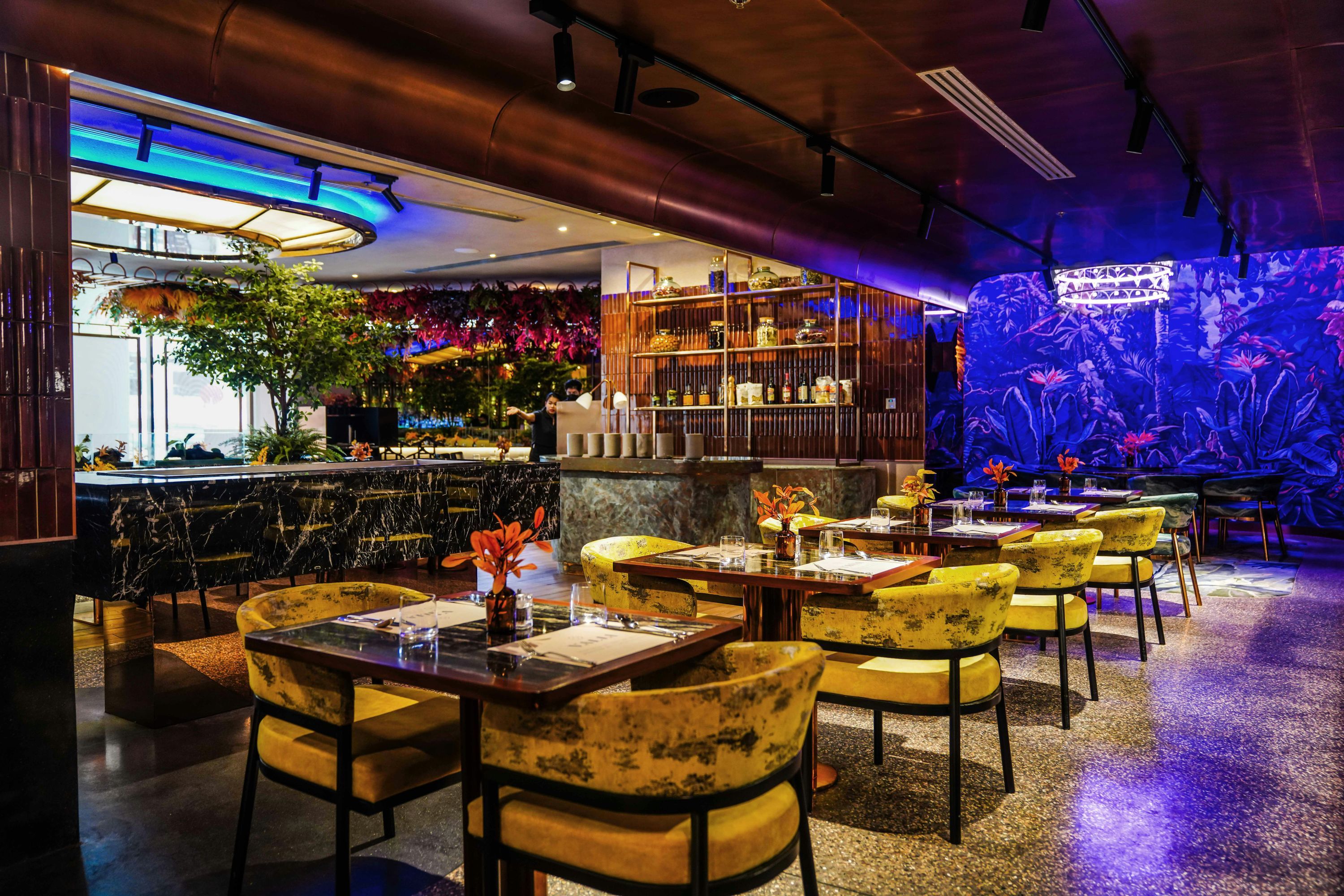 מסעדה תמונה