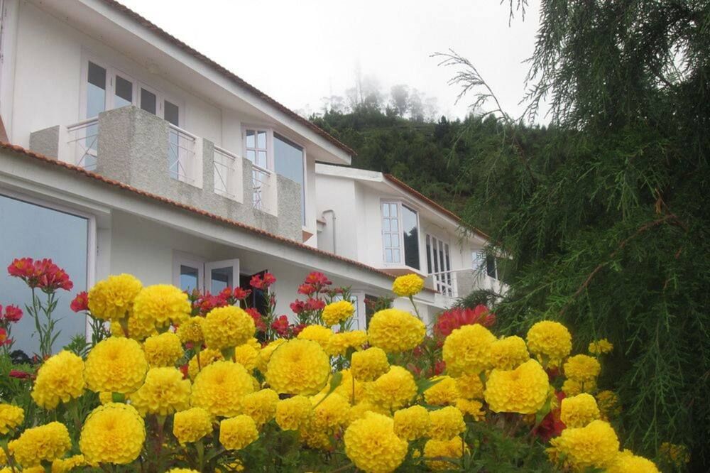 נוחות המלון