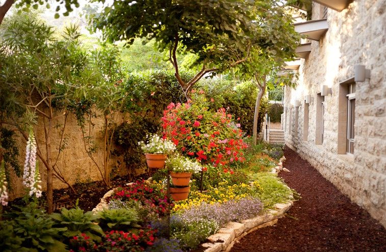נוף חיצוני