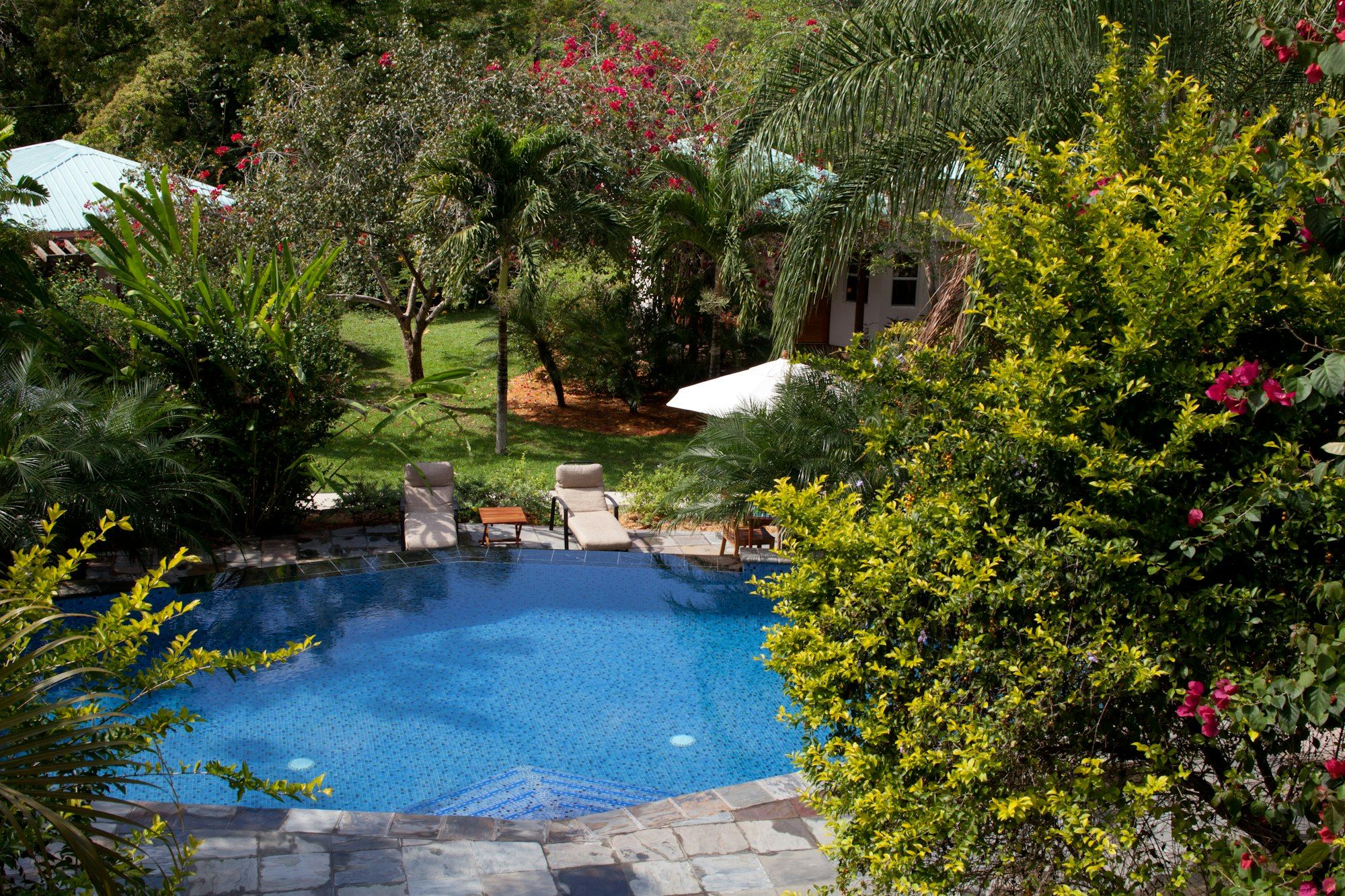 בריכה תמונה