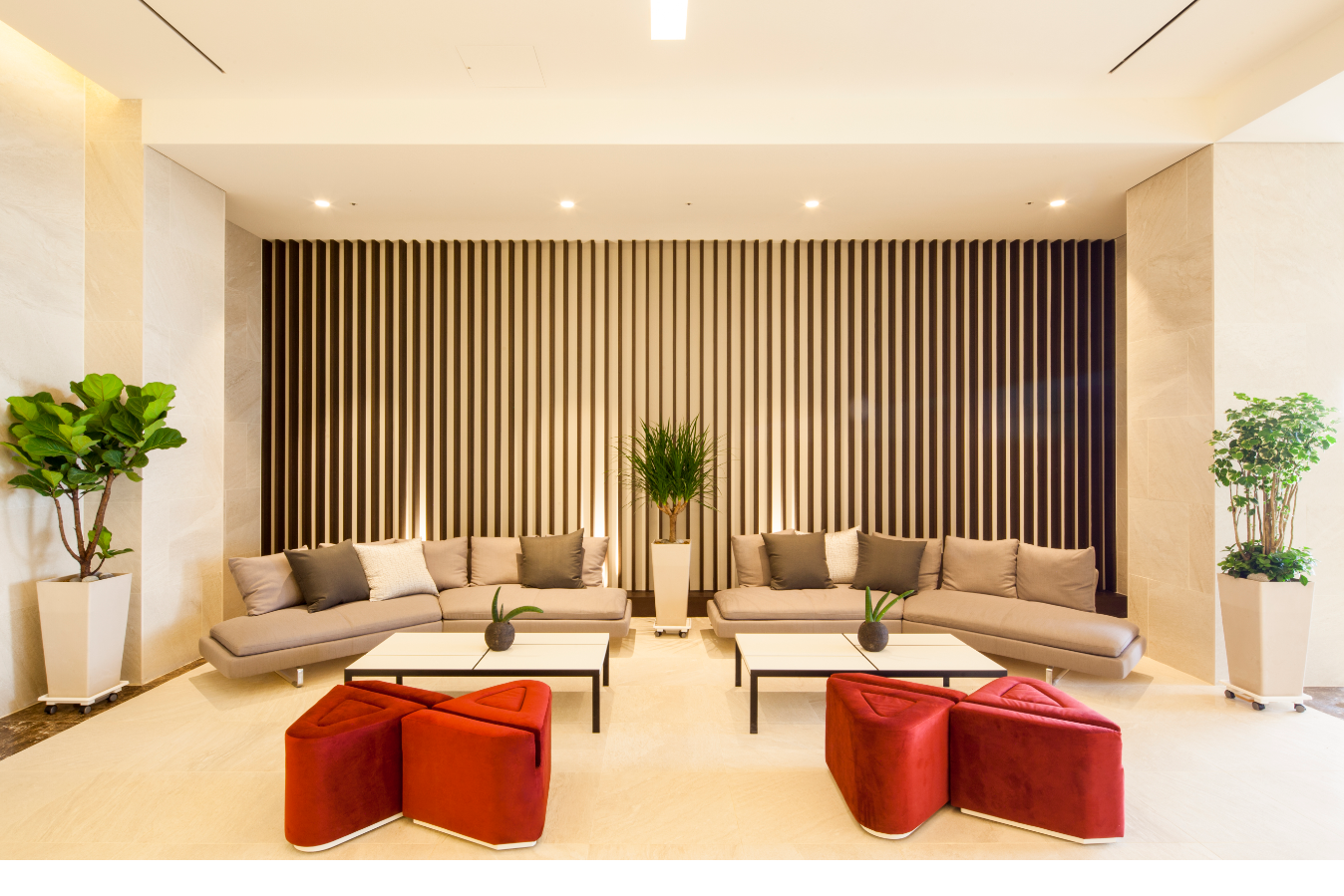 טרקלין תמונה