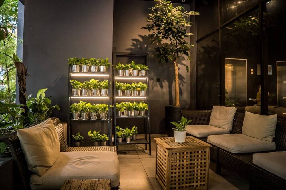 טרקלין תמונה