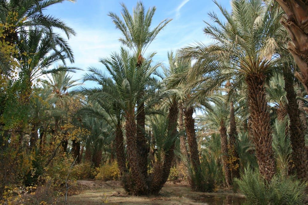 נוף חיצוני