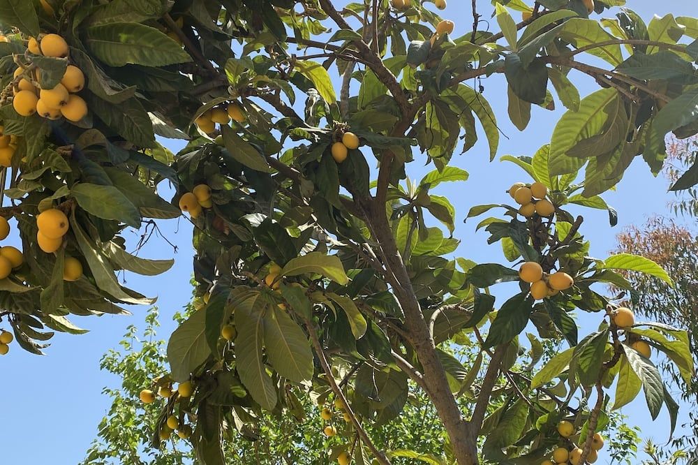 נוף חיצוני