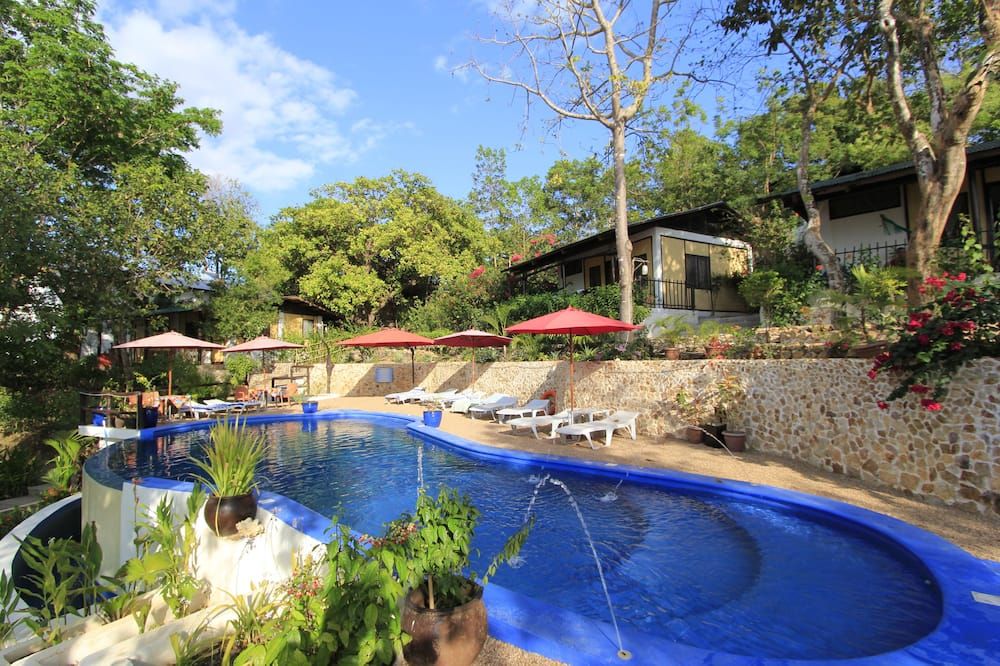 בריכה תמונה