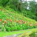 נוף חיצוני