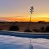 בריכה