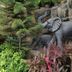 אחר