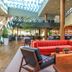 לובי