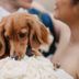 אחר