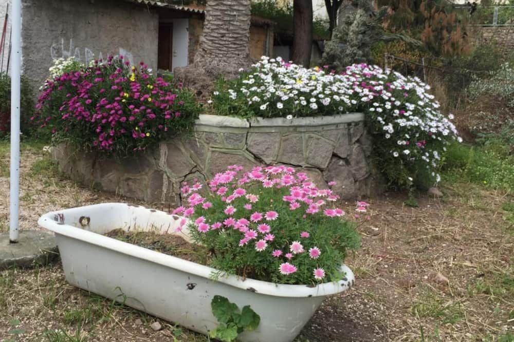 נוף חיצוני