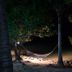 אחר