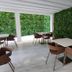 פטיו