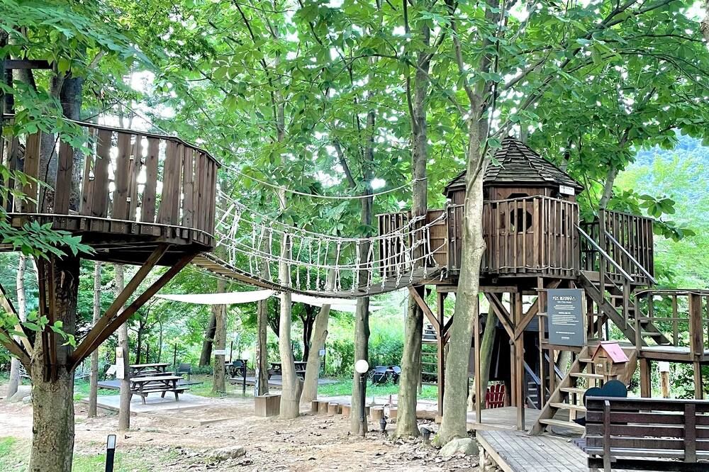 נוחות המלון