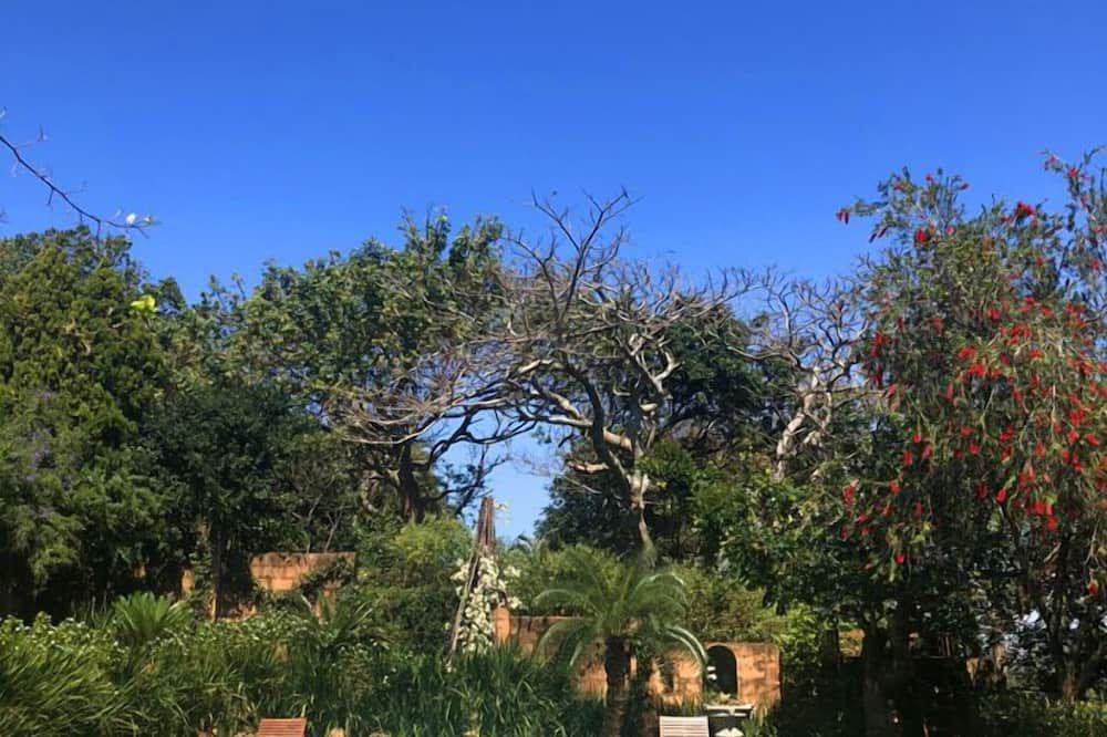 נוף חיצוני