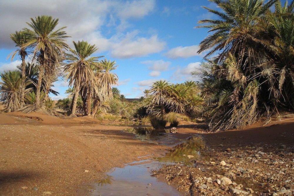 נוף חיצוני