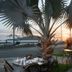 פטיו