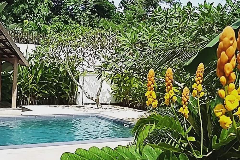 בריכה תמונה