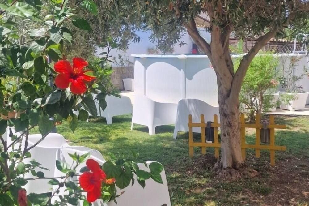 פטיו