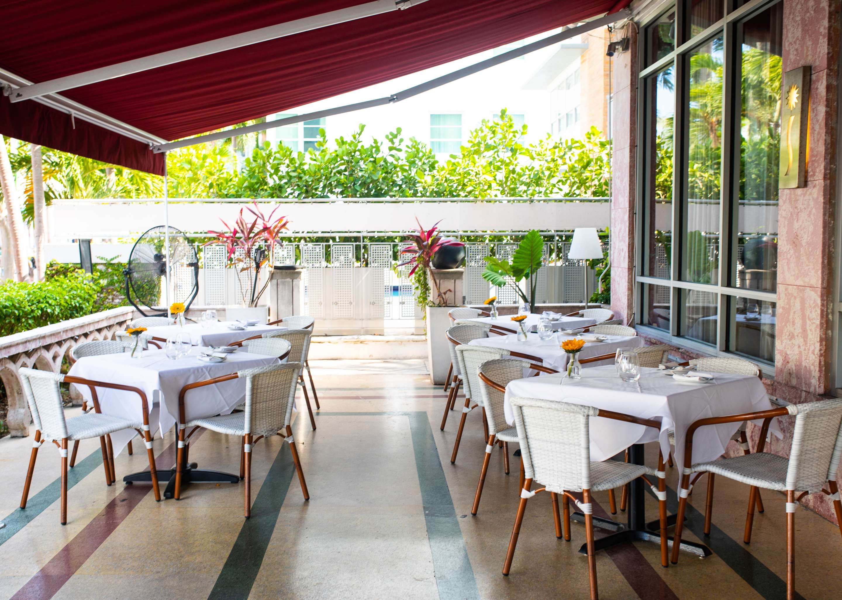 מסעדה תמונה