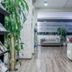 לובי