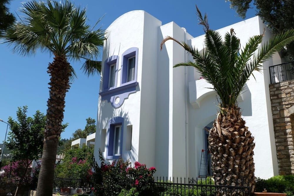 בניין תמונה