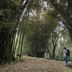 אחר