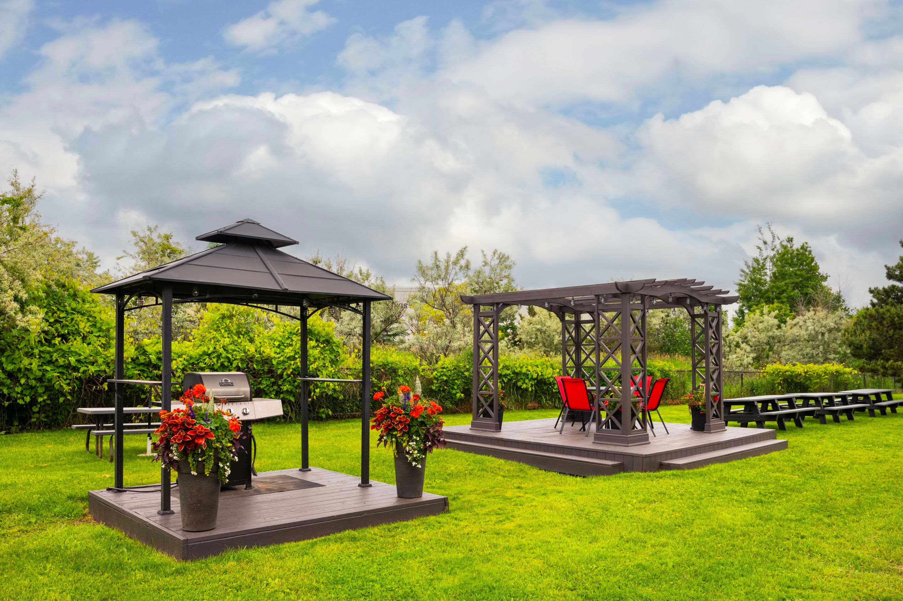 נוחות המלון